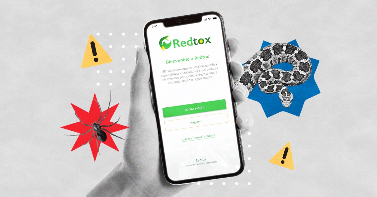 Redtox, the app that tells you what to do if a spider bites you