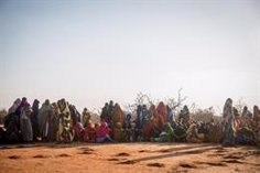 World Bank approves the delivery of 136 million euros to support the response to the drought in Somalia