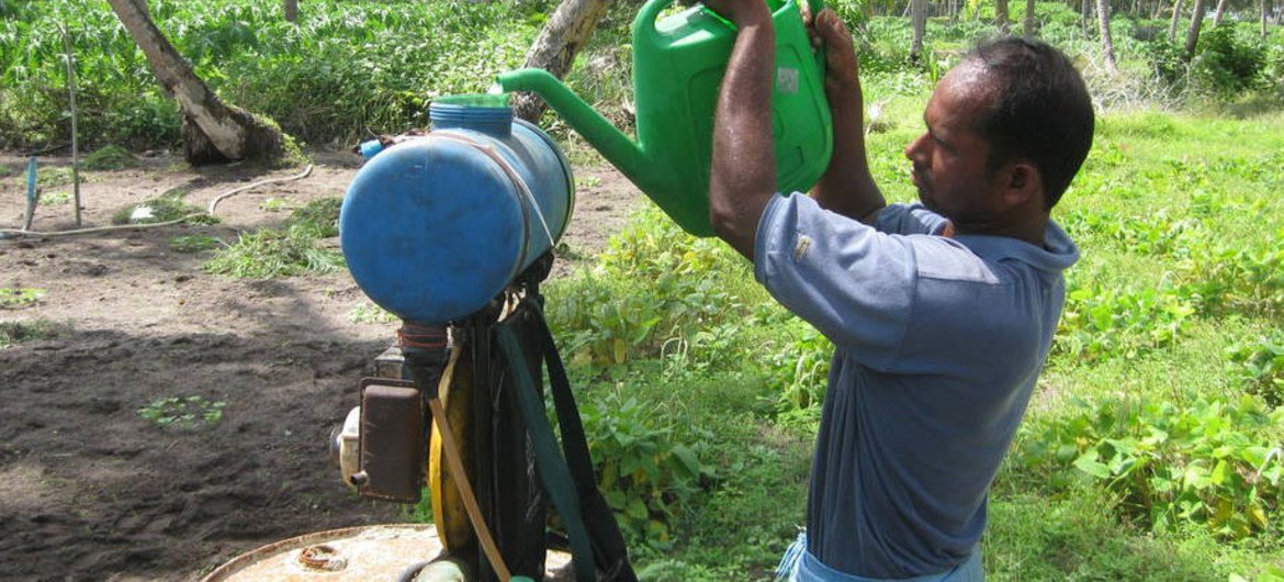 Farmers don't always wear clothing that protects them from pesticides.  Photo: FAO/Harry vanderWulp