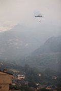 An NGO puts the number of animals killed by the fires in Galicia at 250,000