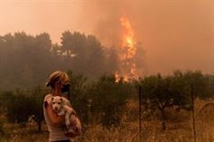 At least one dead and one injured due to a forest fire in northern Morocco