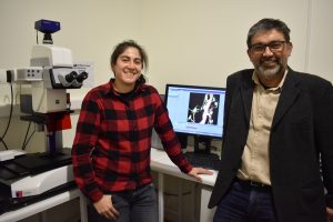 Chilean research behind the fingerprint of peripheral nervous system regeneration