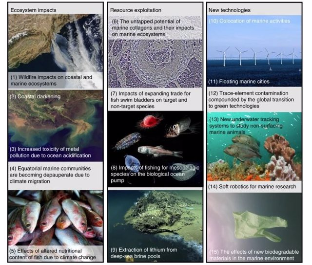 Threats to marine and coastal biodiversity