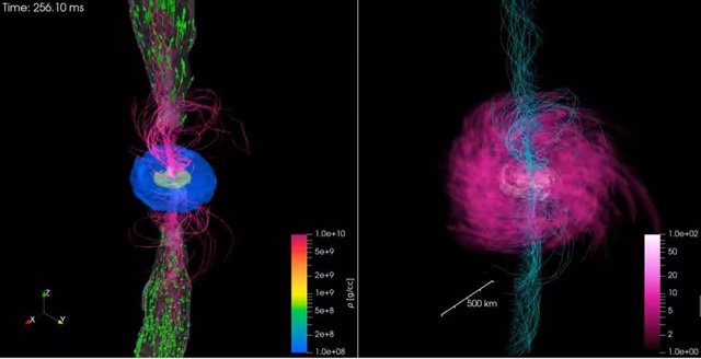 Numerical simulation of the merger of a neutron star and a black hole.