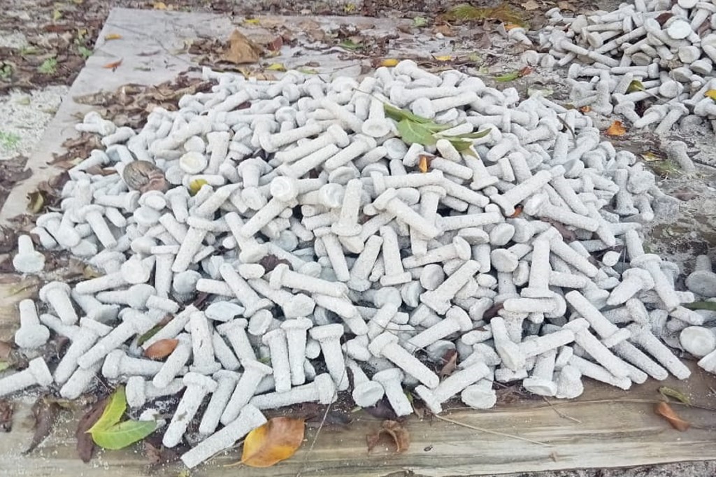 Cement plugs used in the coral restoration process in Kilifi County, Kenya.