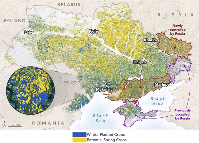 Crop situation in the context of the Russian invasion of Ukraine