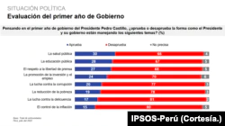 Evaluation graph for the first year of government