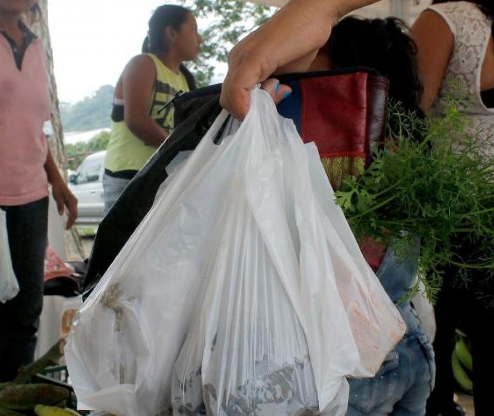 Tax on plastic bags helped reduce its use by almost 70%