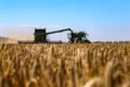 The US applauds the agreement for the export of Ukrainian grain, although it warns that Russia must now comply with it