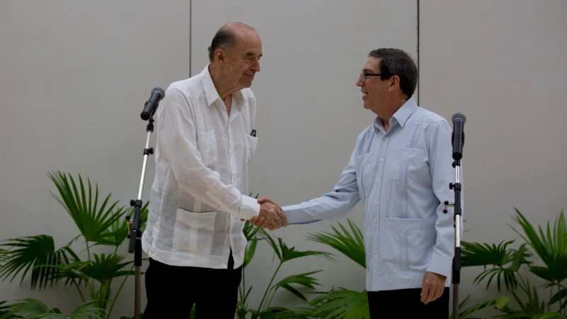 Colombia aspires to resume peace negotiations with the ELN: foreign minister