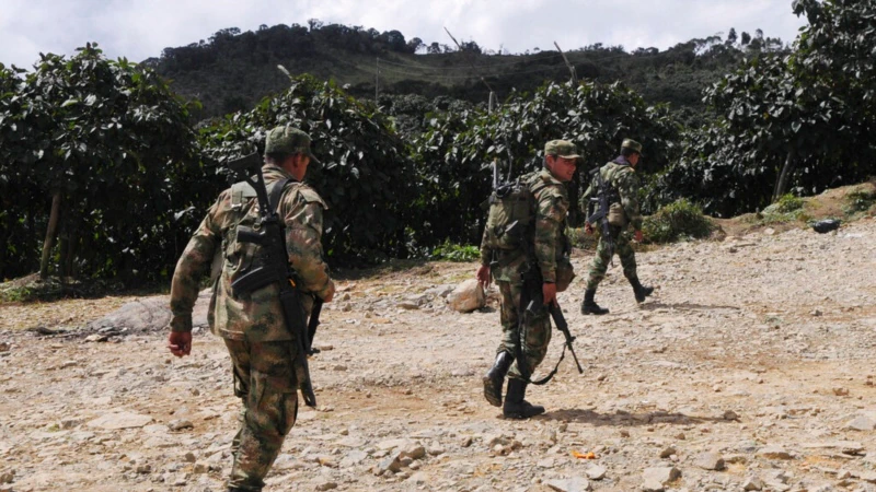 Colombia investigates military crimes with paramilitaries