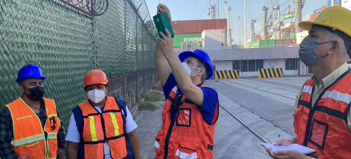 Members of the technical advisory panel of the FAO and the IAEA review the surveillance network of the Mediterranean fruit fly in the port of Manzanillo, Colima, in Mexico