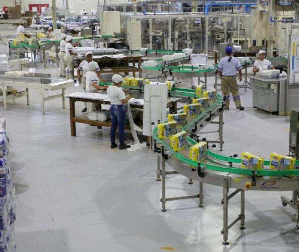 Kimberly-Clark will invest in its Tocancipá plant for innovation