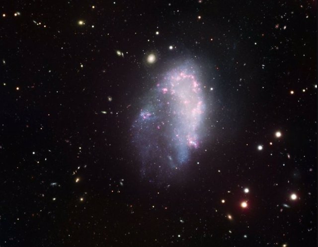 The dwarf galaxy NGC1427A flies through the Fornax cluster of galaxies and undergoes perturbations that would not be possible if this galaxy were surrounded by an extensive and heavy halo of dark matter, as required by standard cosmology.