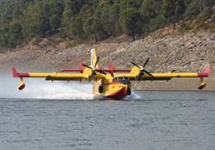 Portugal has already lost more than 100,000 hectares to fires this year