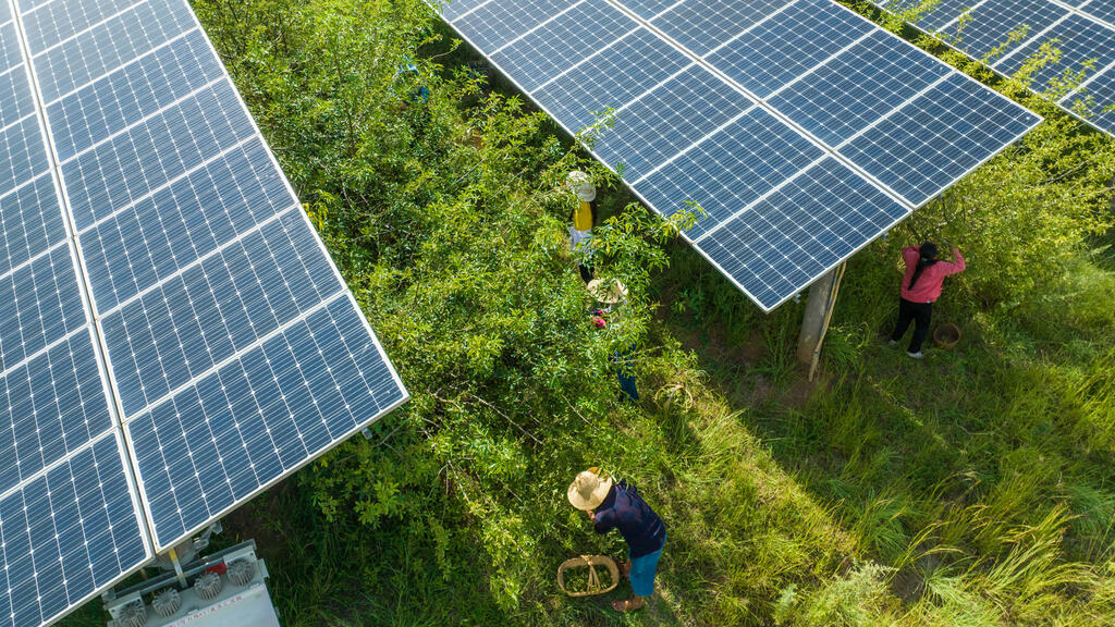 Sichuan paralyzes its industries for six days due to energy shortage