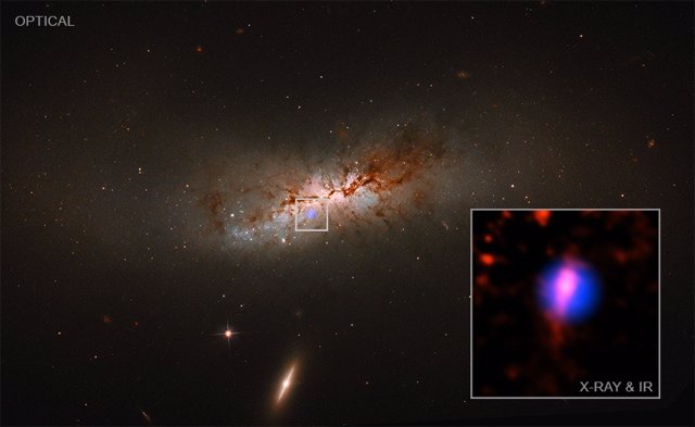 NASA Telescopes Capture Black Hole Stellar Delivery Service