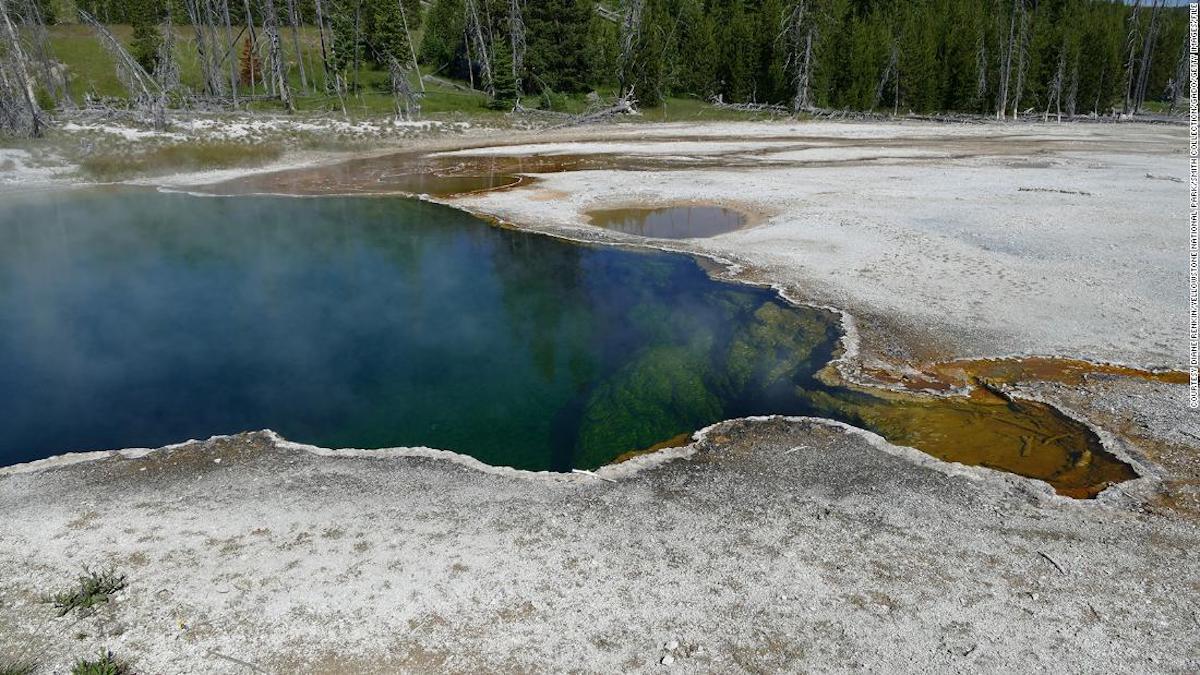 They discover a part of a foot in the hot springs of Yellowstone