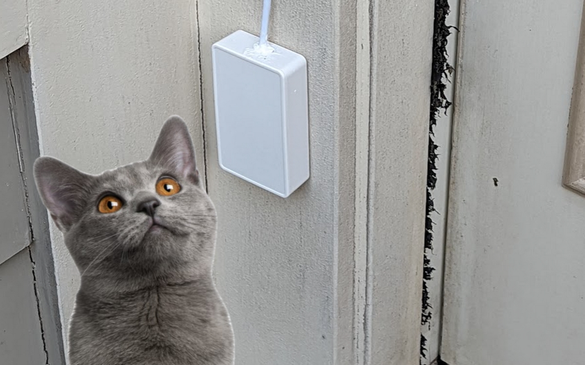 They invent an AI doorbell for cats that only opens the door to meows, and you can do it yourself with a Raspberry Pi