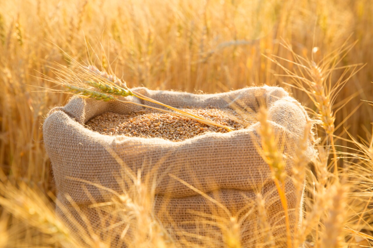 UN works with the US and the EU so that Russian food reaches the market