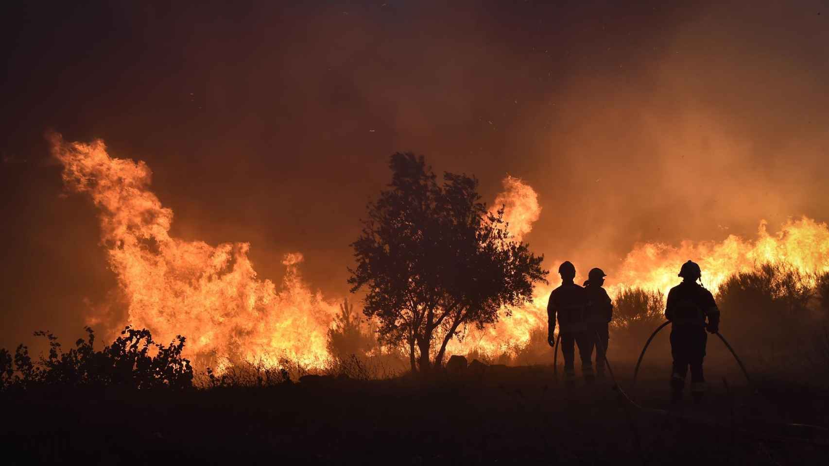 a fire devastates the Serra da Estrela and burns more than 17,000 hectares in 10 days