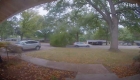 A tree almost crushes a driver in Kansas and is caught on video