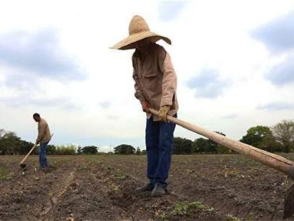 Farmers