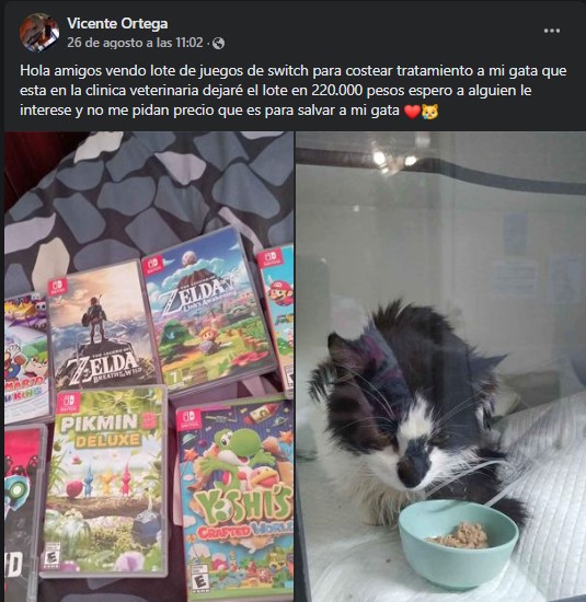 Hero!  Player sells his Switch games to save his kitten