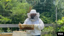 Josué Barrera and his wife started with some fruits and vegetables on their Glory Fields farm, this year they started producing honey.