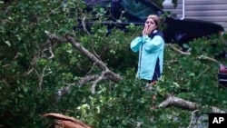 Ian toppled trees as he pushed through southwest Florida on Wednesday.