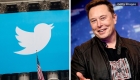 Musk asks to delay the trial for a month with Twitter