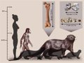 New species of extinct otter as big as a lion