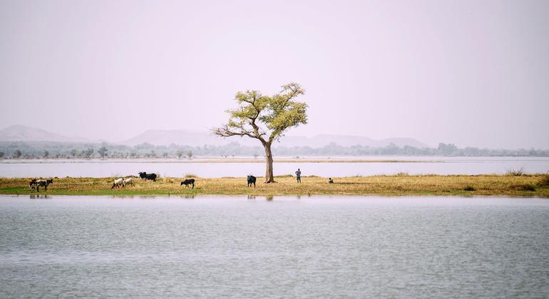 State of the climate in Africa: the environmental health of the continent on red alert