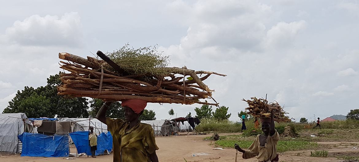 Women collecting wood in Unity State, South Sudan, where they are particularly vulnerable to sexual violence in clashes between the government and armed groups.