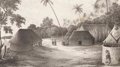 19th-century globalization nearly depopulated Pacific islands