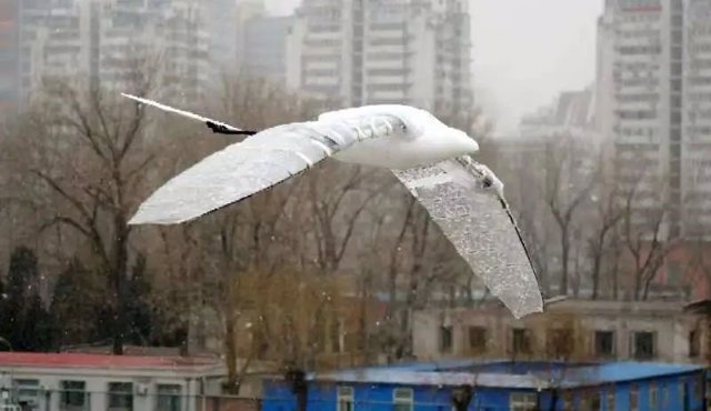 Beihang University Ornithopter