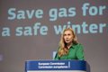 Brussels makes limiting the price of all gas purchases subject to a cut in gas consumption of more than 15%