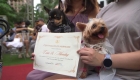 In the Philippines they celebrate the wedding of 15 couples of dogs