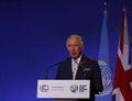 Downing Street urges King Charles III not to attend COP27