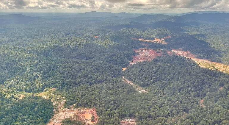 Aerial view of the Central Suriname Nature Reserve