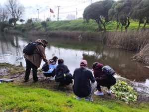 UCSC Environmental Chemistry students perform analysis of bacteria that grow in water and soil from lagoons in Concepción