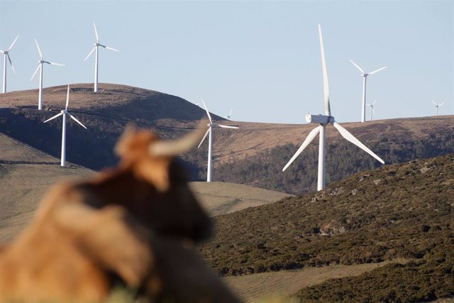 File - A cow rests lying down in front of wind turbines at the Montouto Wind Farm, in the Serra do Xistral, in the Terra Cha region, on February 22, 2022, in Abadín, in Lugo, Galicia (Spain).  The new wind law prepared by the Xunta de