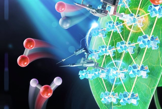 Artist's illustration of the process of the new artificial photosynthesis system