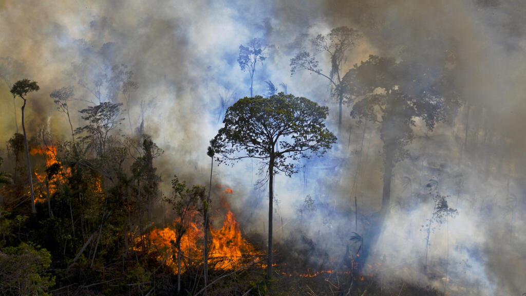 Brazil records the worst October in deforestation since 2015