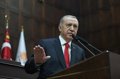 Erdogan announces an agreement with Russia to facilitate the export of cereals to developing countries