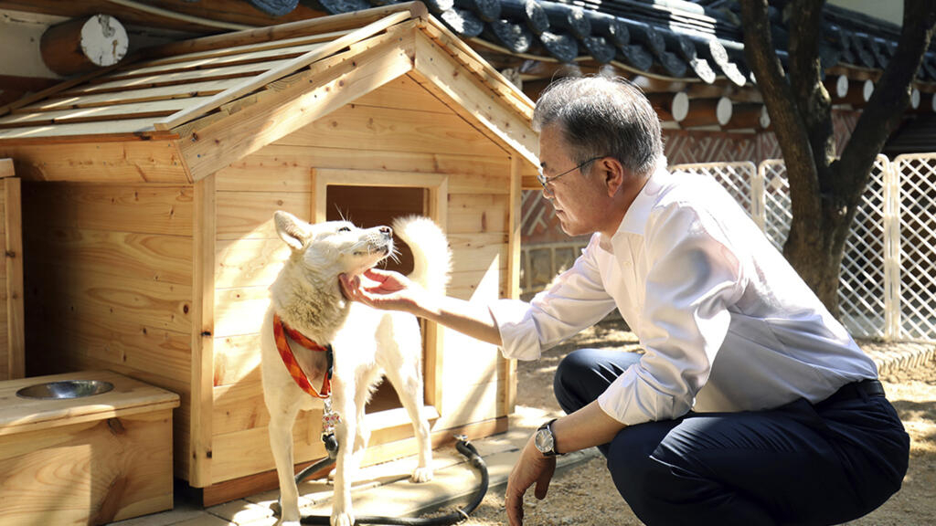 Former South Korean president returns dogs given by Kim Jong-un