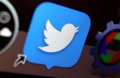 Newly created Twitter accounts must wait 90 days to opt for the Blue version