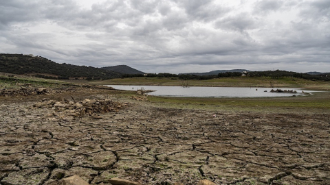 Pedro Sánchez warns about the danger of not acting in the face of the climate emergency