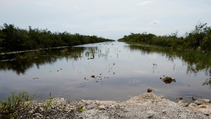 Plane with Cuban license plate crashes near Miami