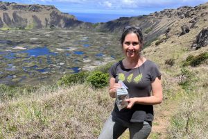 UdeC researcher achieves important advances in the recovery of the Toromiro tree in Rapa Nui